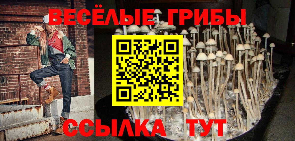 Галлюциногенные грибы ЛСД Сегежа