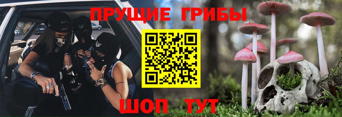Сегежа  Псилоцибиновые грибы GOLDEN TEACHER  Галлюциногенные грибы Magic Shrooms  Вход с VPN 